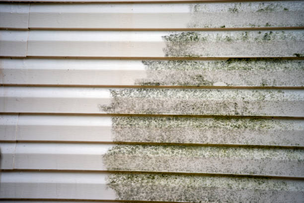 Best Hoarding Cleanup  in Lake Waccamaw, NC